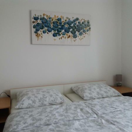 Apartment Hinic Vrhovine Экстерьер фото